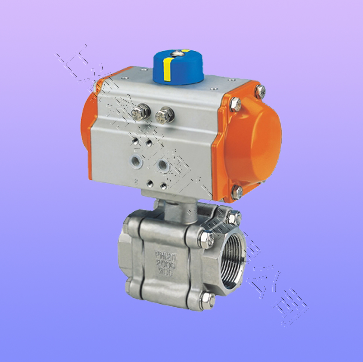 ������Ƭʽ������