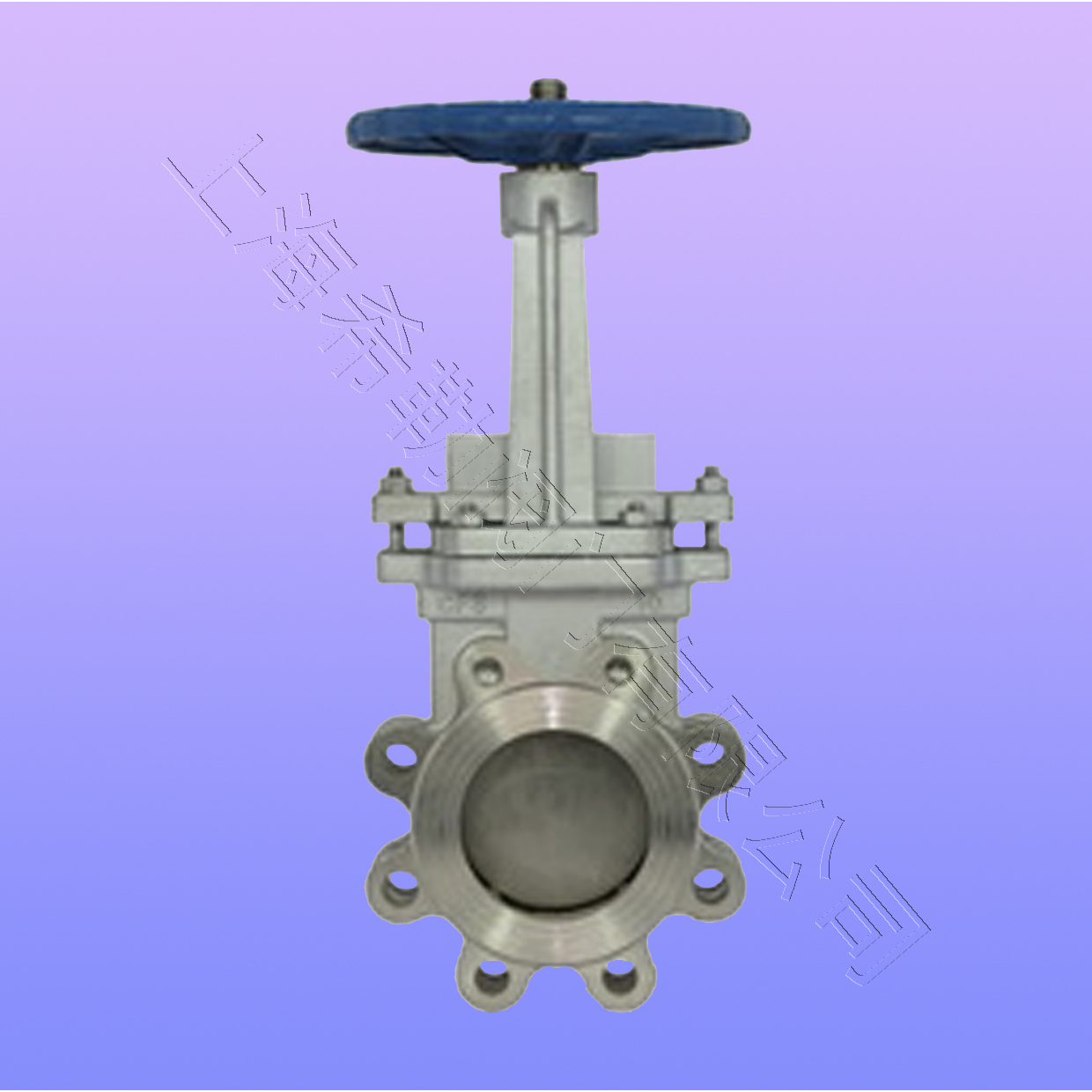 ���������͹����բ