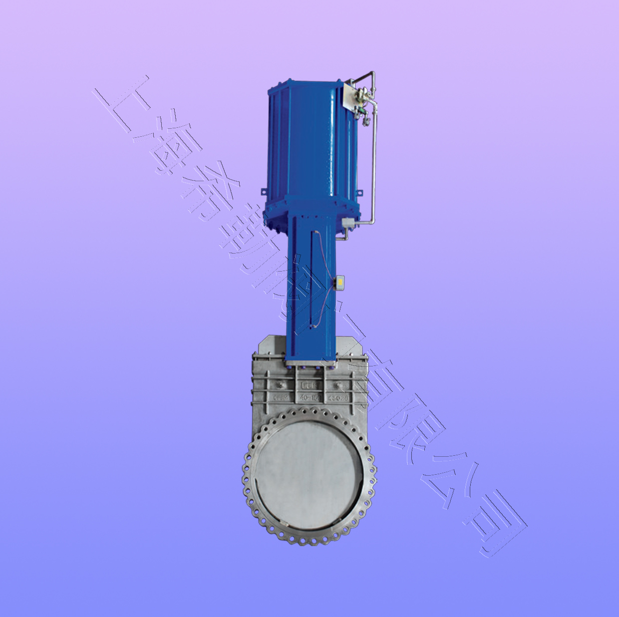 ����͹����բ��